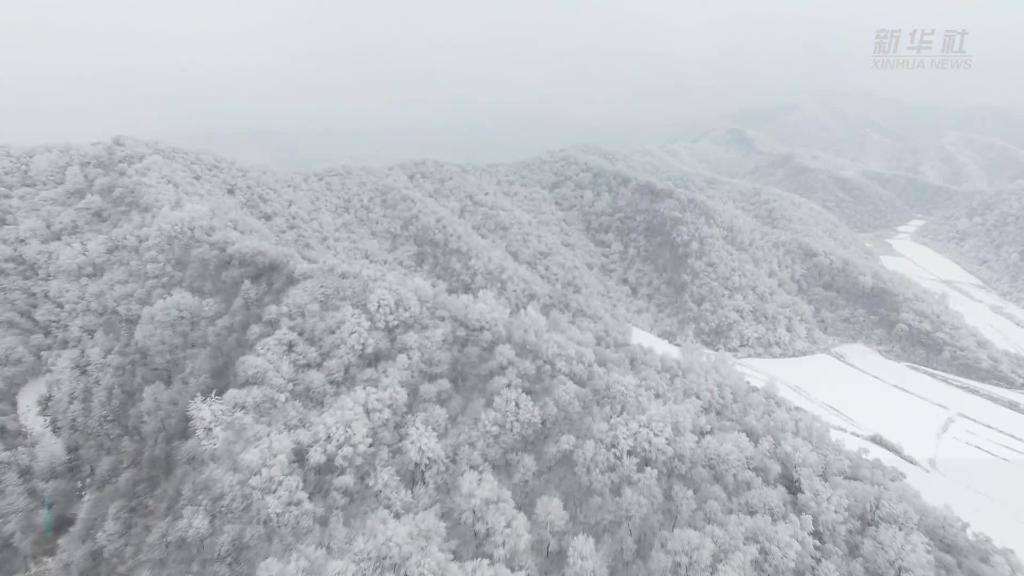 雪落秦岭 美景如画